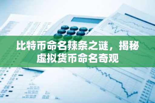 比特币命名辣条之谜，揭秘虚拟货币命名奇观