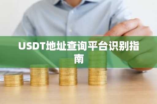 USDT地址查询平台识别指南