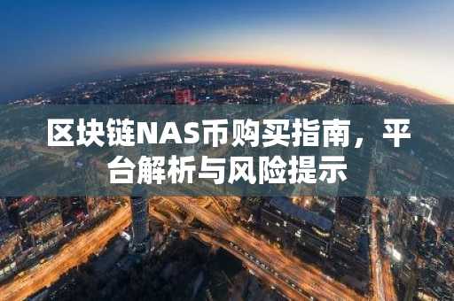 区块链NAS币购买指南，平台解析与风险提示