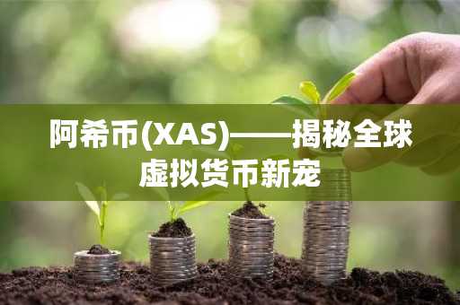 阿希币(XAS)——揭秘全球虚拟货币新宠