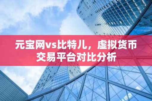 元宝网vs比特儿，虚拟货币交易平台对比分析
