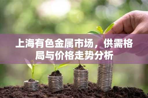 上海有色金属市场，供需格局与价格走势分析