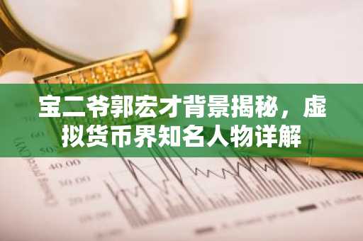 宝二爷郭宏才背景揭秘,虚拟货币界知名人物详解