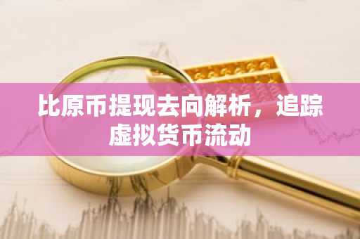 比原币提现去向解析，追踪虚拟货币流动