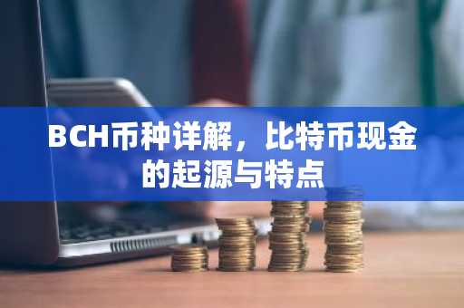 BCH币种详解,比特币现金的起源与特点
