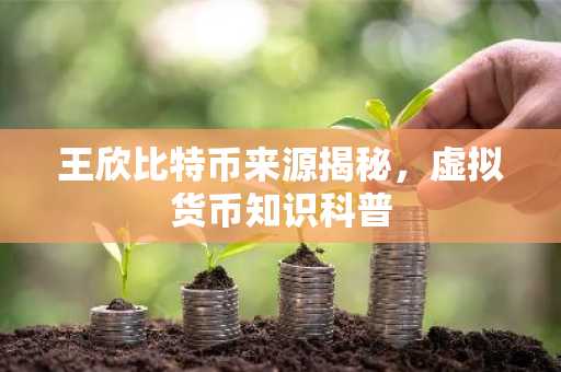 王欣比特币来源揭秘，虚拟货币知识科普
