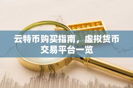 云特币购买指南，虚拟货币交易平台一览