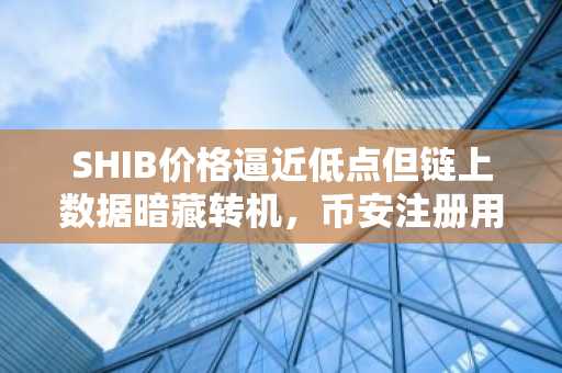 SHIB价格逼近低点但链上数据暗藏转机，币安注册用户可实时追踪交易动态
