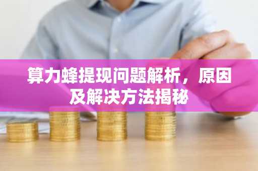 算力蜂提现问题解析，原因及解决方法揭秘