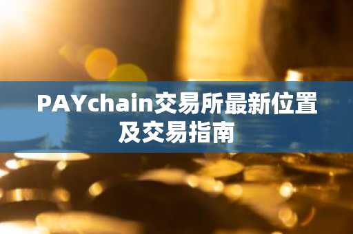 PAYchain交易所最新位置及交易指南