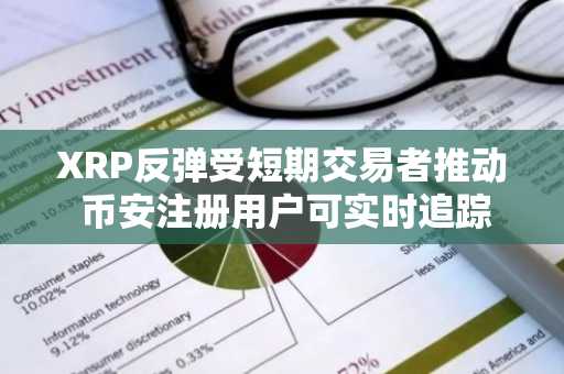 XRP反弹受短期交易者推动 币安注册用户可实时追踪链上数据
