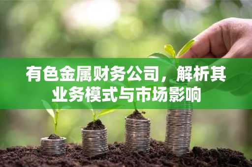 有色金属财务公司，解析其业务模式与市场影响