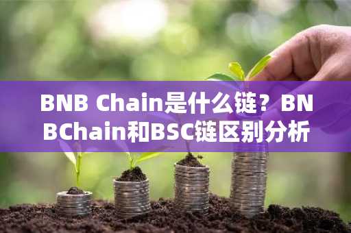 BNB Chain是什么链？BNBChain和BSC链区别分析