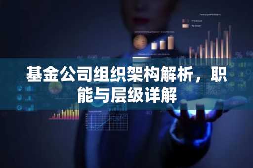 基金公司组织架构解析，职能与层级详解