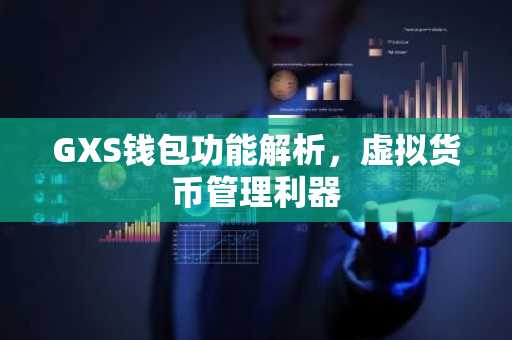 GXS钱包功能解析,虚拟货币管理利器