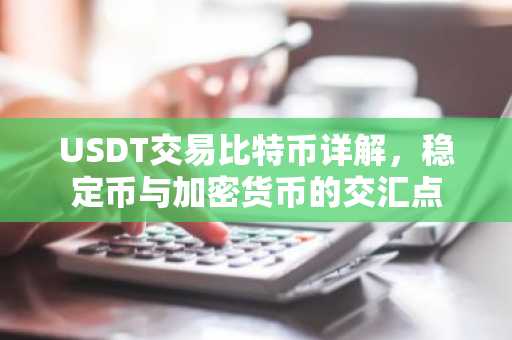 USDT交易比特币详解，稳定币与加密货币的交汇点