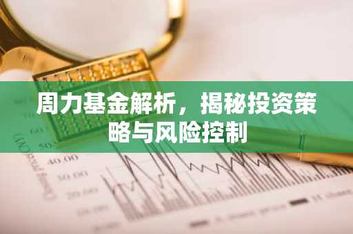 周力基金解析，揭秘投资策略与风险控制