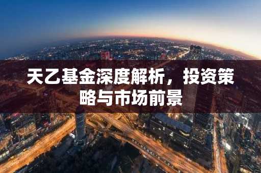 天乙基金深度解析，投资策略与市场前景