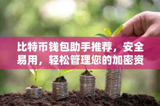 比特币钱包助手推荐，安全易用，轻松管理您的加密资产