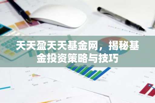 天天盈天天基金网，揭秘基金投资策略与技巧