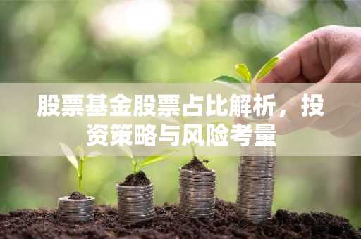 股票基金股票占比解析，投资策略与风险考量