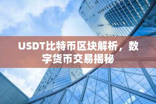 USDT比特币区块解析,数字货币交易揭秘