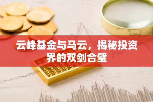 云峰基金与马云，揭秘投资界的双剑合璧