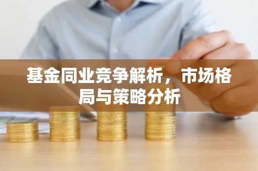 基金同业竞争解析，市场格局与策略分析