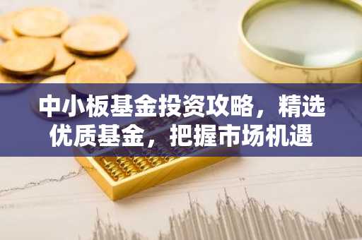 中小板基金投资攻略，精选优质基金，把握市场机遇