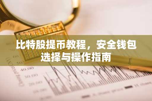 比特股提币教程，安全钱包选择与操作指南