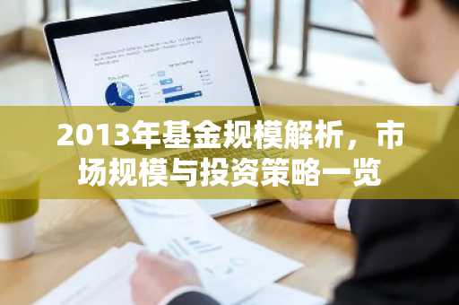 2013年基金规模解析，市场规模与投资策略一览