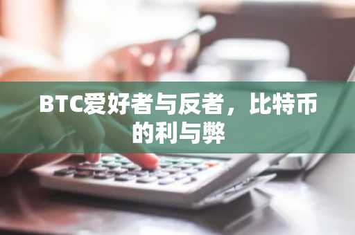BTC爱好者与反者,比特币的利与弊