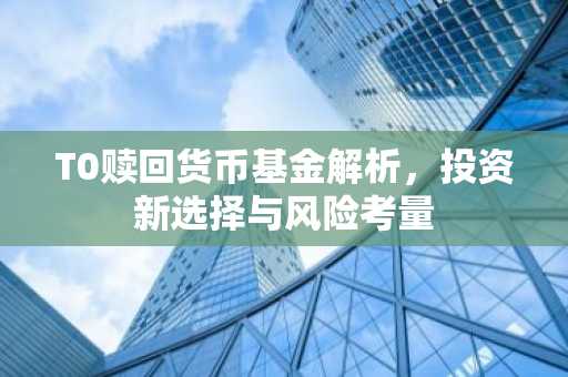 T0赎回货币基金解析，投资新选择与风险考量