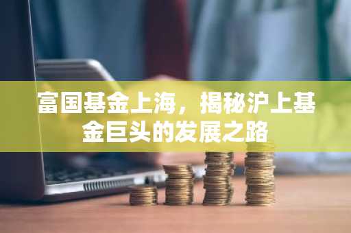 富国基金上海，揭秘沪上基金巨头的发展之路