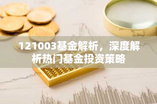 121003基金解析，深度解析热门基金投资策略