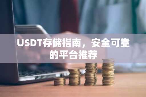 USDT存储指南,安全可靠的平台推荐