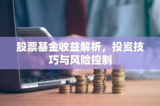 股票基金收益解析,投资技巧与风险控制