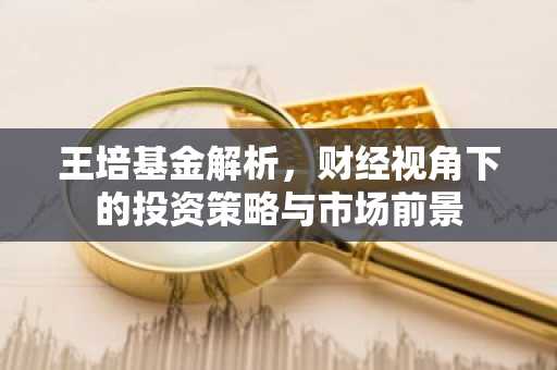 王培基金解析,财经视角下的投资策略与市场前景