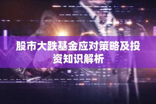 股市大跌基金应对策略及投资知识解析