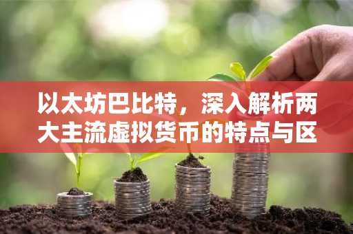 以太坊巴比特，深入解析两大主流虚拟货币的特点与区别