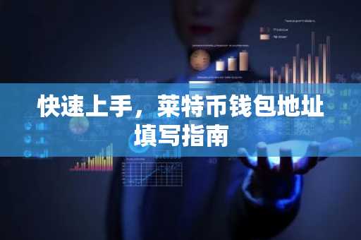 快速上手，莱特币钱包地址填写指南