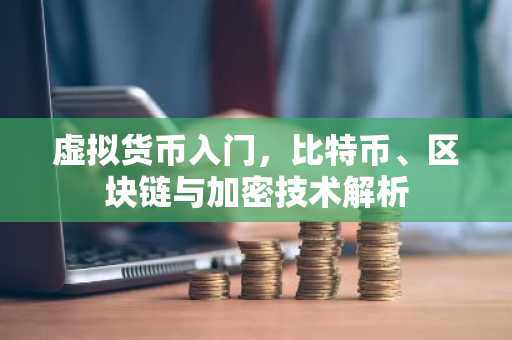 虚拟货币入门，比特币、区块链与加密技术解析