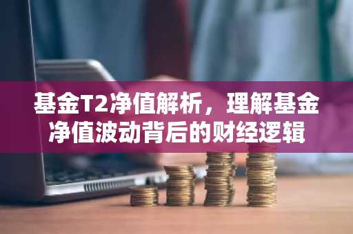 基金T2净值解析，理解基金净值波动背后的财经逻辑