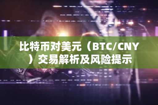 比特币对美元(BTC/CNY)交易解析及风险提示