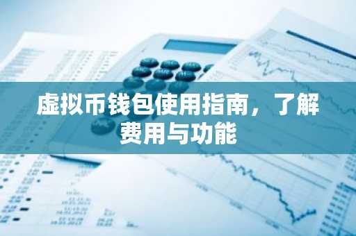 虚拟币钱包使用指南，了解费用与功能