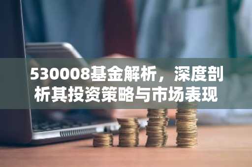 530008基金解析，深度剖析其投资策略与市场表现