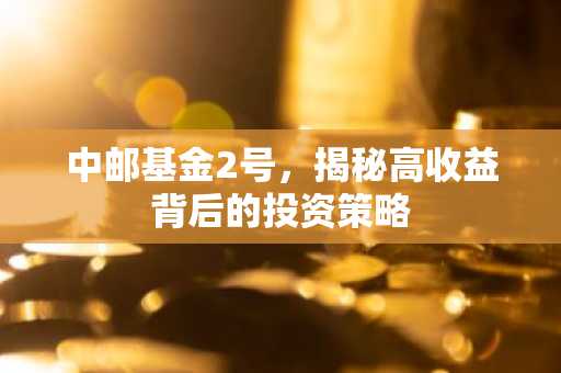 中邮基金2号，揭秘高收益背后的投资策略