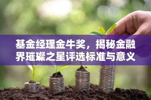 基金经理金牛奖，揭秘金融界璀璨之星评选标准与意义