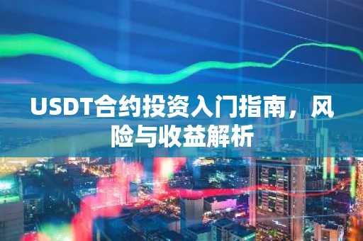 USDT合约投资入门指南,风险与收益解析