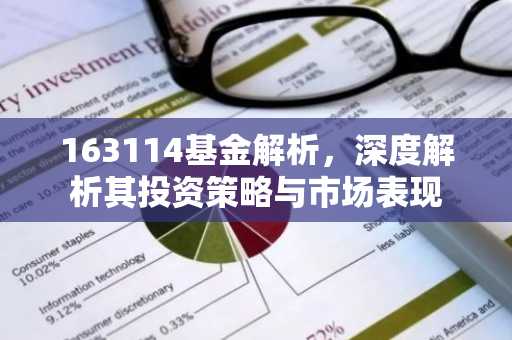 163114基金解析，深度解析其投资策略与市场表现